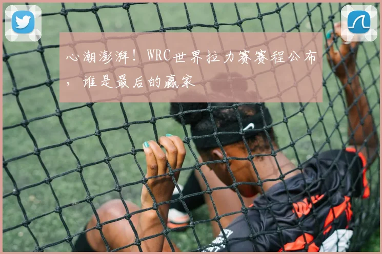 心潮澎湃！WRC世界拉力赛赛程公布，谁是最后的赢家